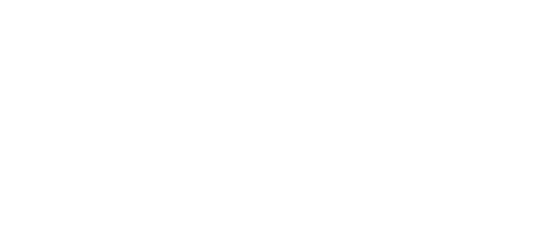 DotConnex Web Design and SEO